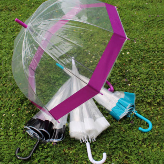 Clear Dome Coloured Trim Umbrella