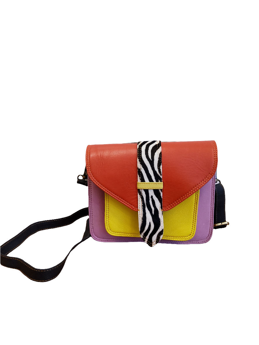 Square Leather Zebra Buckle Crossbody Bag