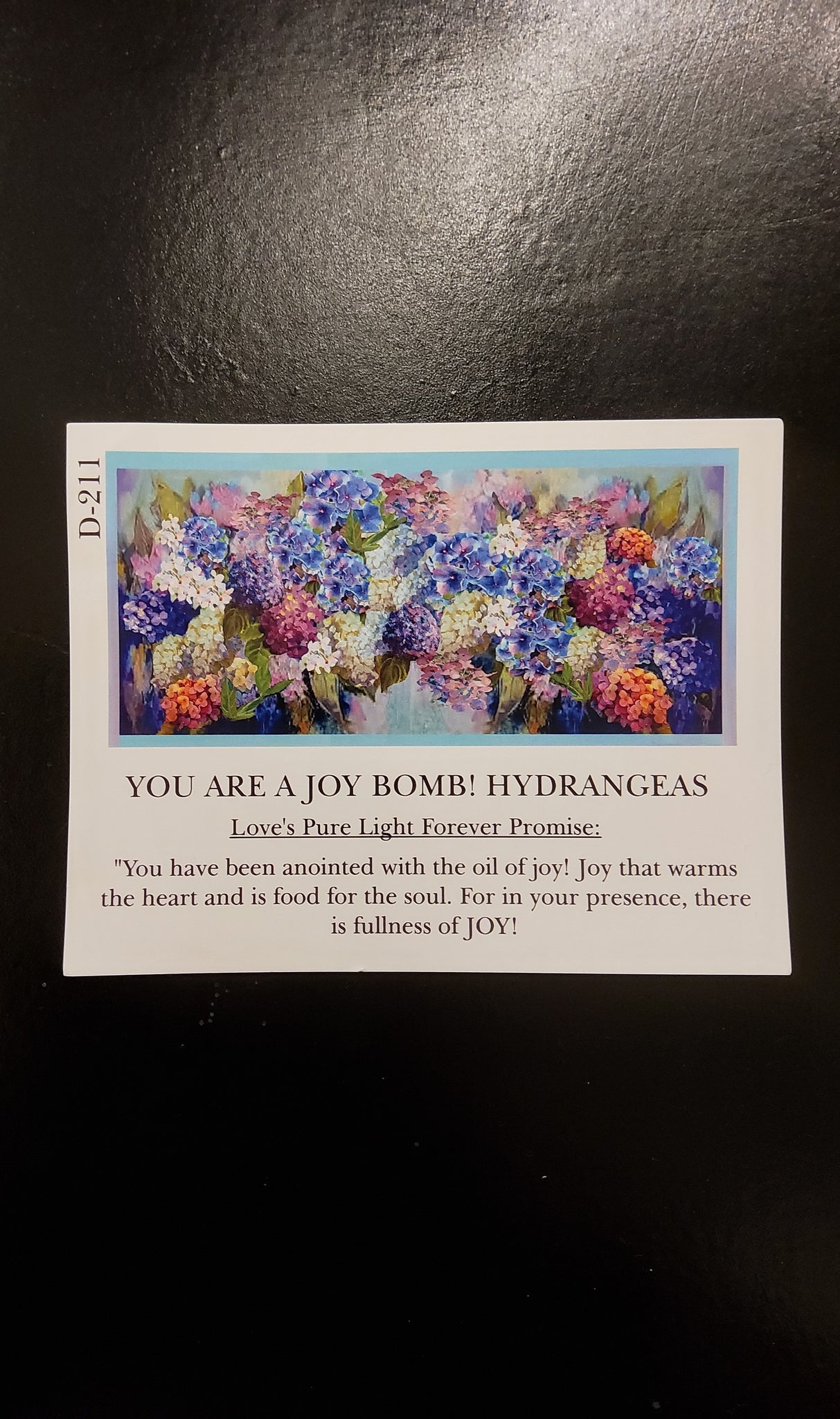 Love’s Pure Light
You Are A Joy Bomb: Hydrangeas” silk blend scarf