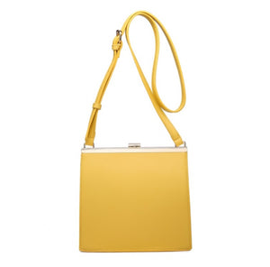 Kiss lock vintage structured crossbody bag